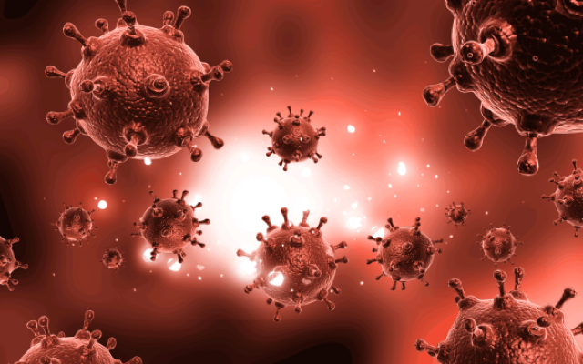 Zika ; microcefalia