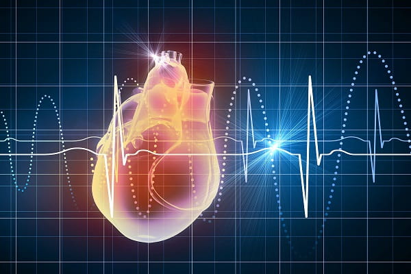 imagem digital de um coração e o ciclo cardíaco