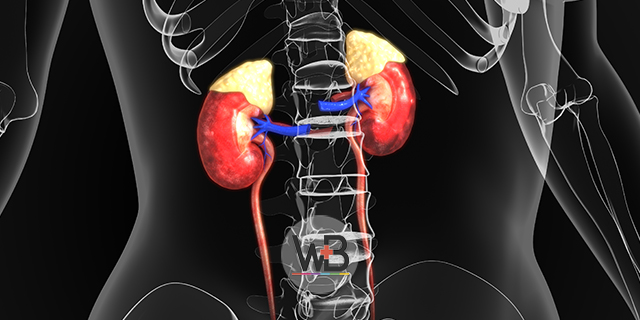 Essa semana em nossa publicação semanal do  Whitebook vamos mostrar a apresentação clínica da tuberculose do trato urinário.