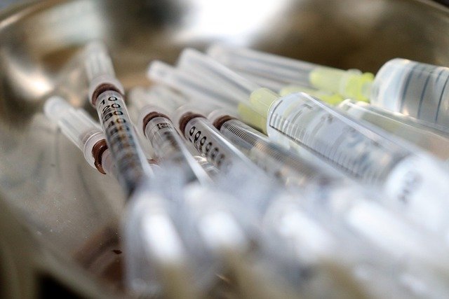 seringas para vacina Medicago/GSK contra a covid-19