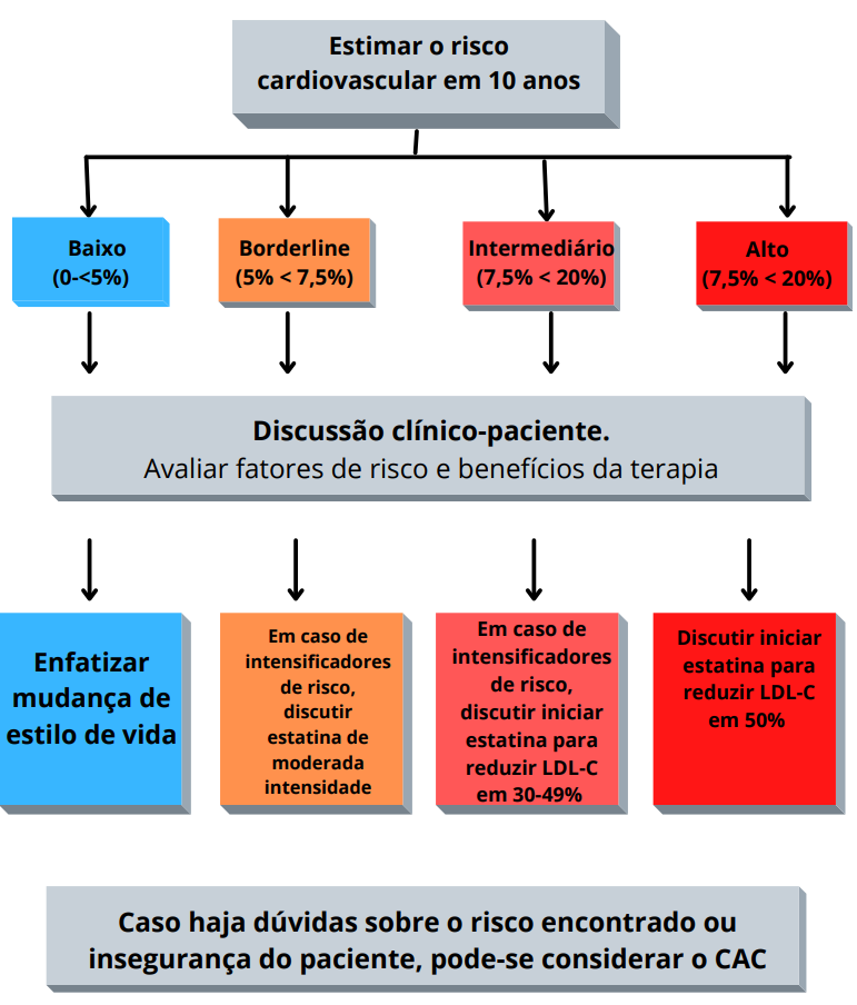 Im Acp 2021 Avaliação De Risco Cardiovascular E Imagem Portal Afya