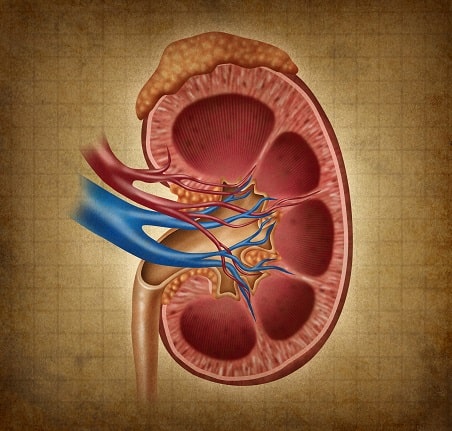 Particularidades da estenose aórtica em pacientes com doença renal crônica