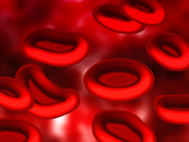Atualização sobre anemia ferropriva: fatores de risco, diagnóstico e tratamento