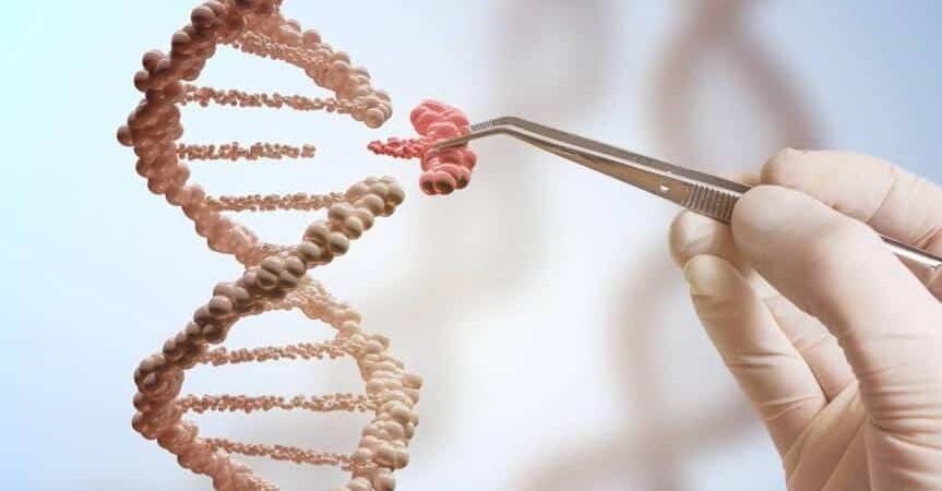 Farmacogenética: adequando os medicamentos aos genes