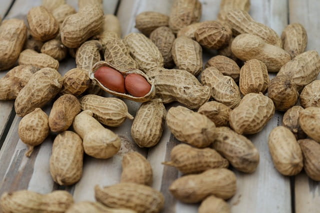 Prevalência de anafilaxia por amendoim em uma coorte: Resultados do European Anaphylaxis Registry