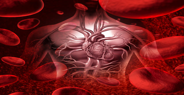 miocardiopatia chagásica