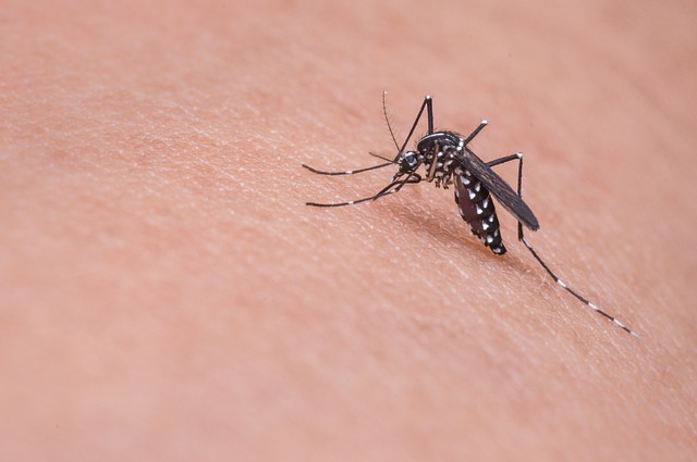 No Brasil, bebês nascidos com Zika têm maior risco de óbito nos primeiros três anos de vida