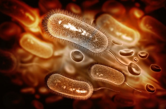 sepse e multirresistência microbiana