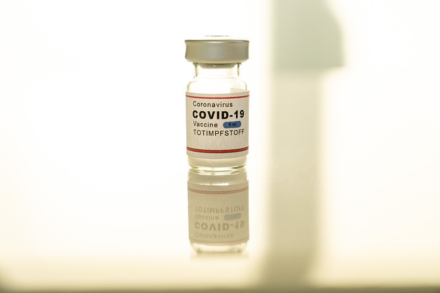 Covid-19: Vacinas evitaram 20 milhões de óbitos em um ano de pandemia, aponta estudo