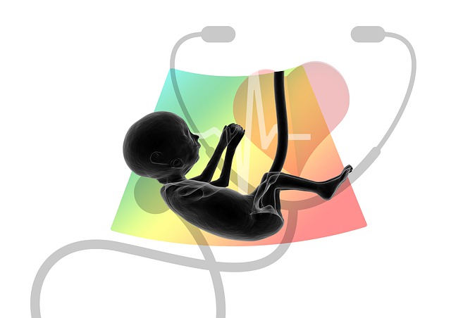 crescimento fetal