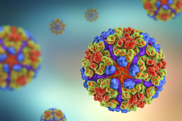 Casos de chikungunya crescem sete vezes em comparação com registros de 2022