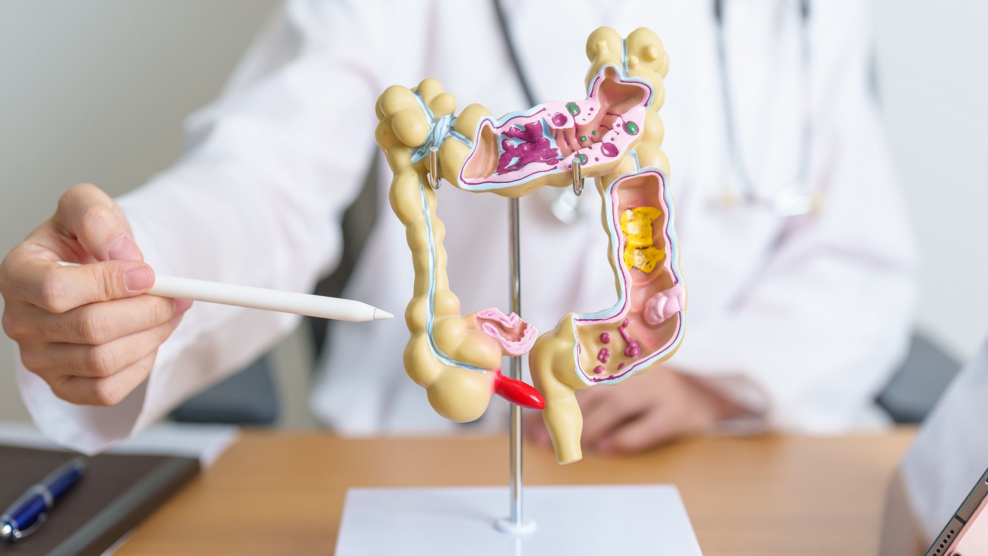 médico explicando distúrbios intestino-cérebro