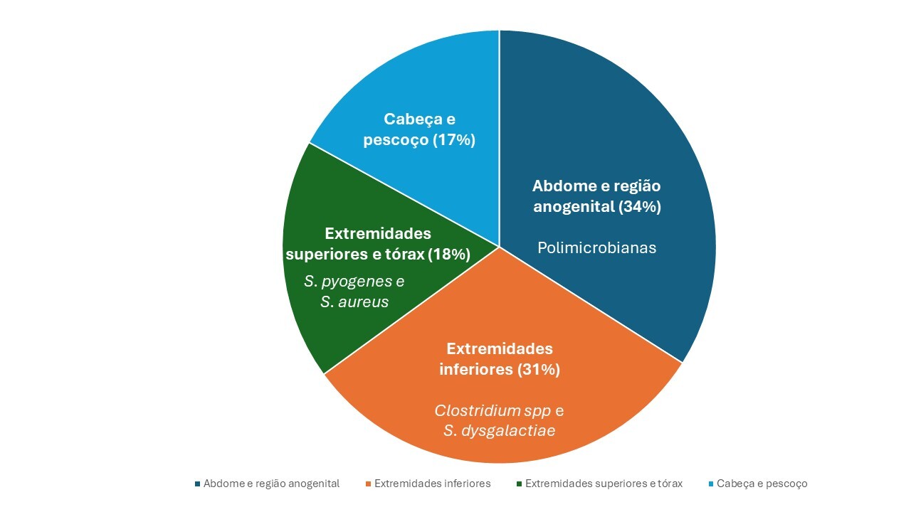 Epidemiologia das infecções necrotizantes de pele e partes moles 