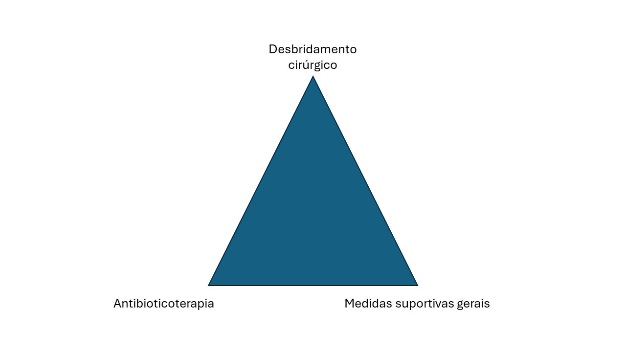 Desbridamento cirúrgico de infecções necrosantes