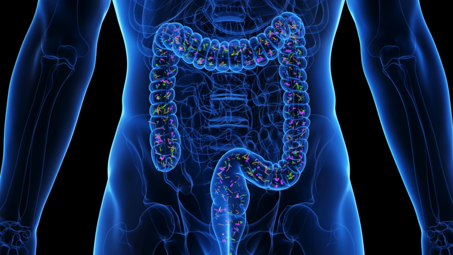 microbiota intestinal