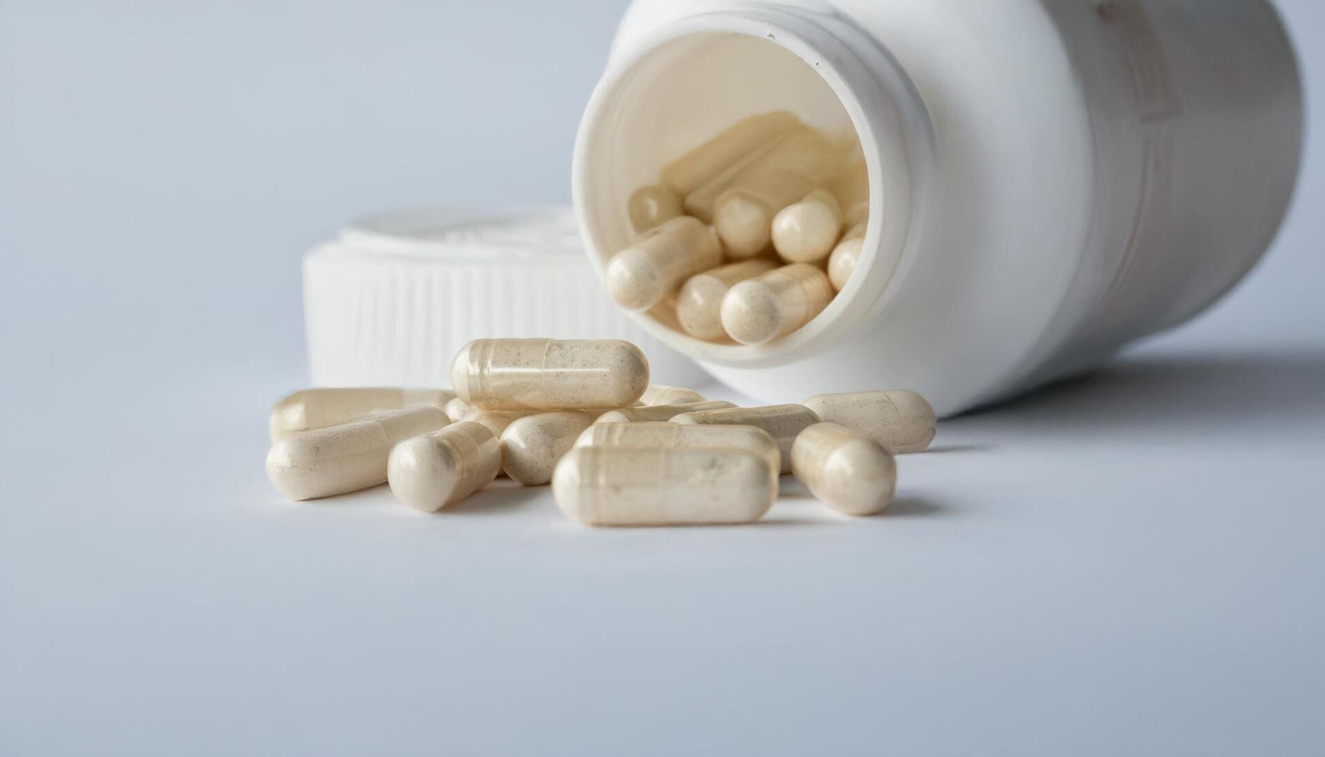 probióticos e pós-menopausa