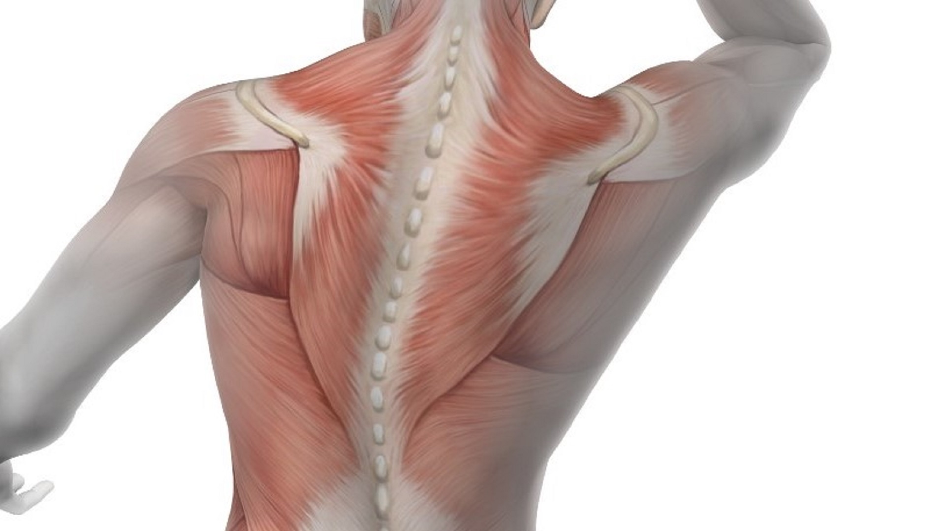 Atualização de boas práticas em atrofia muscular espinhal 