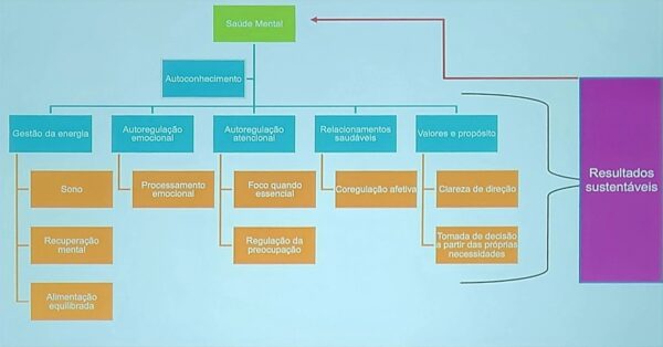 Slide da Apresentação da Dra. Aline Arias Wolff: "Caminho para obtenção de resultados sustentáveis"