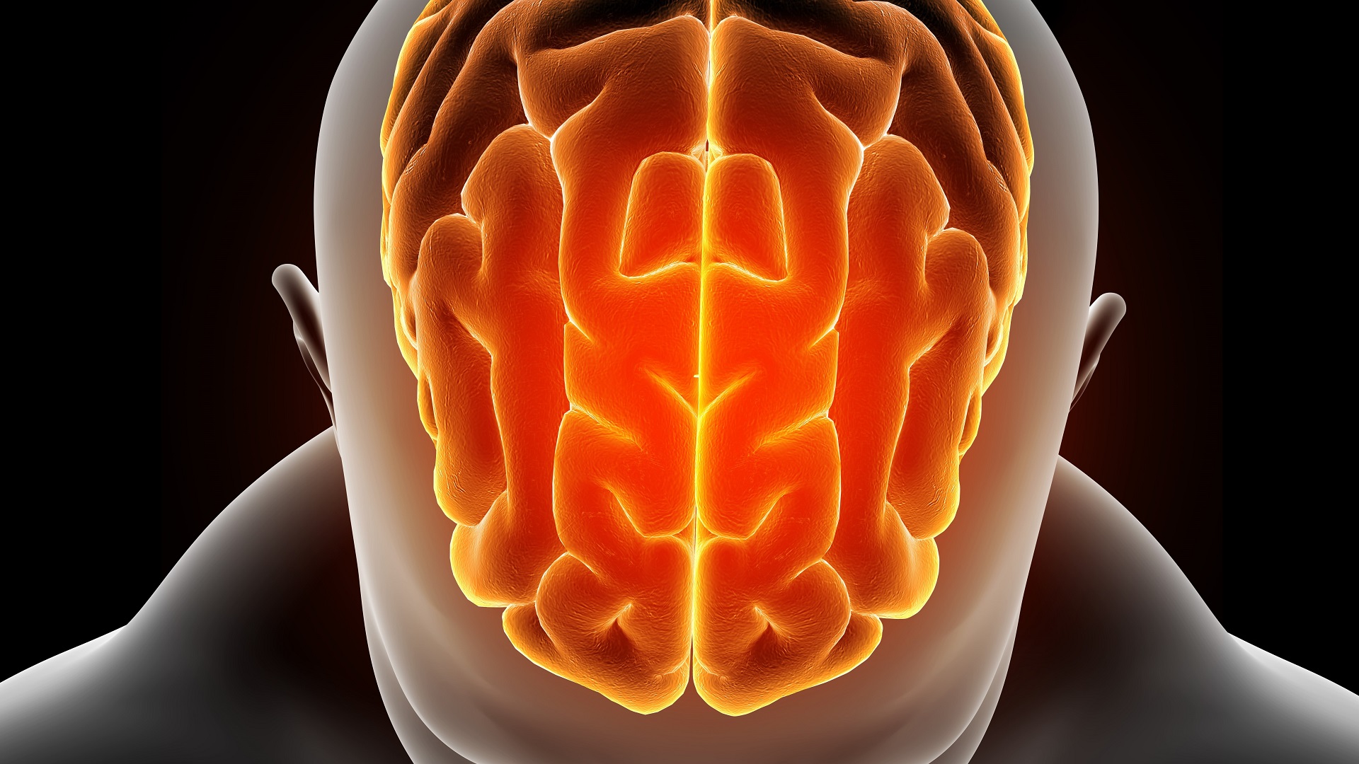 Meningite criptocócica: O que precisamos saber? 
