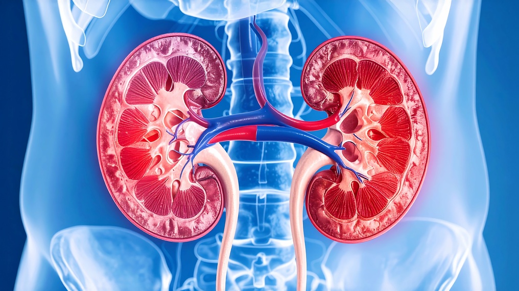 doença renal