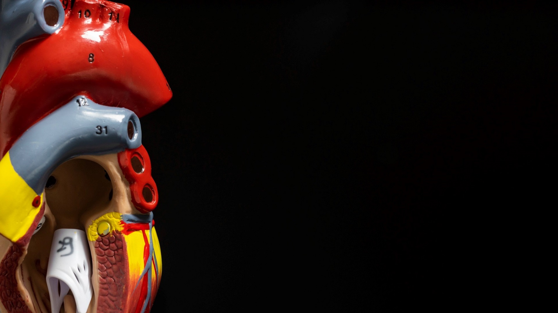 Segurança da troponina US no serviço de emergência 