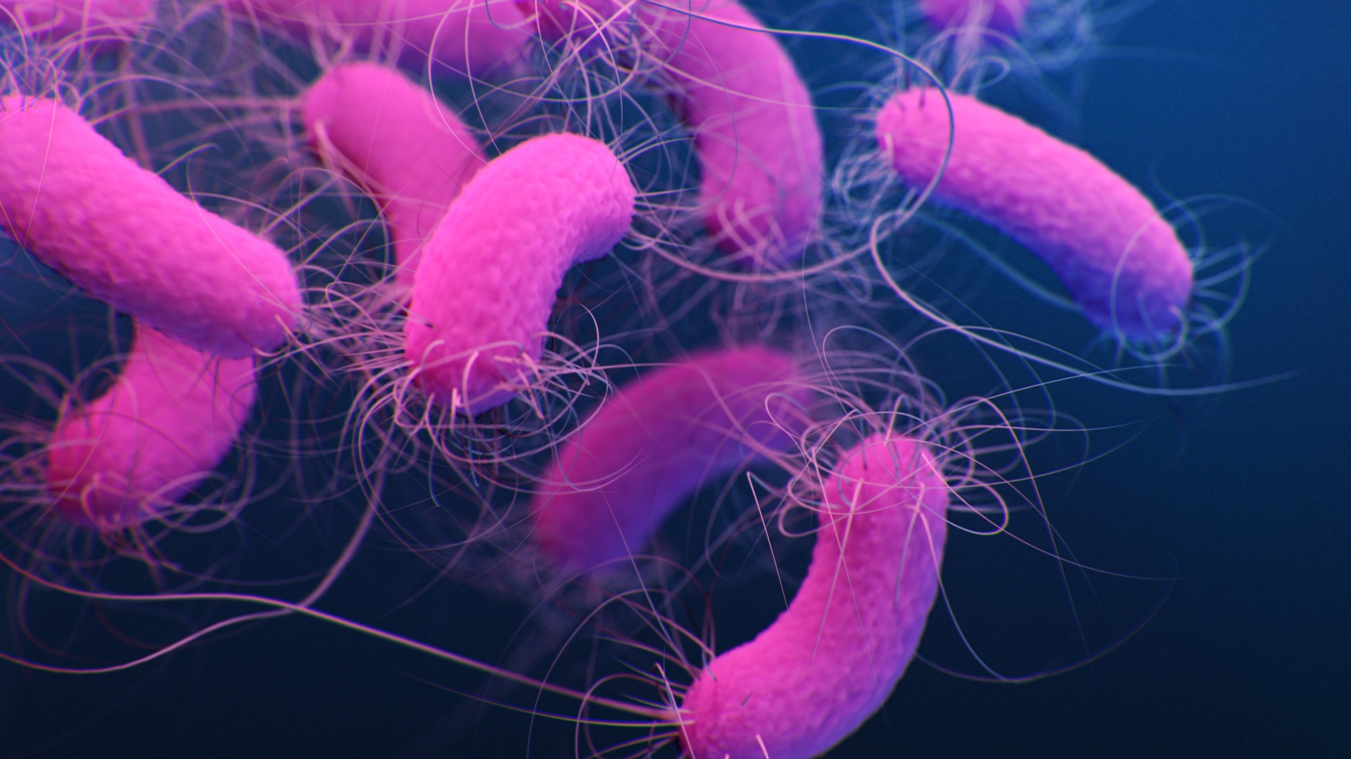 Como manejar infecções difíceis de tratar por Pseudomonas aeruginosa? 