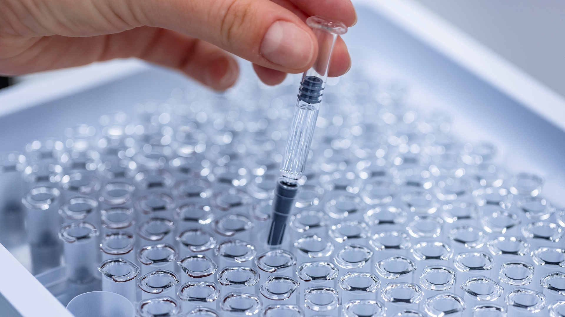 FDA aprova semaglutida de 7,2 mg para tratamento da obesidade