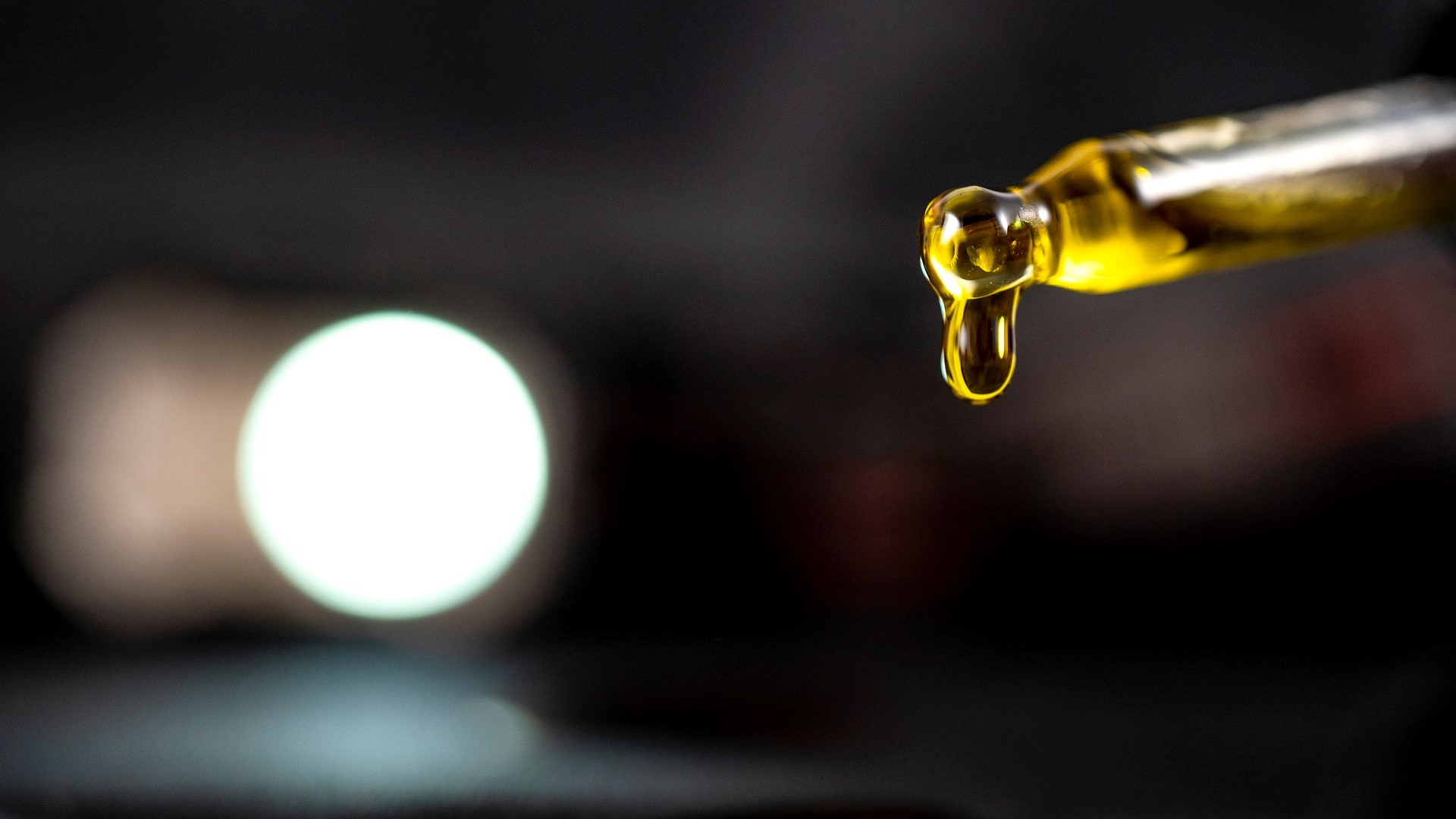 Cannabis e canabinoides: evidências terapêuticas e riscos na prática clínica 