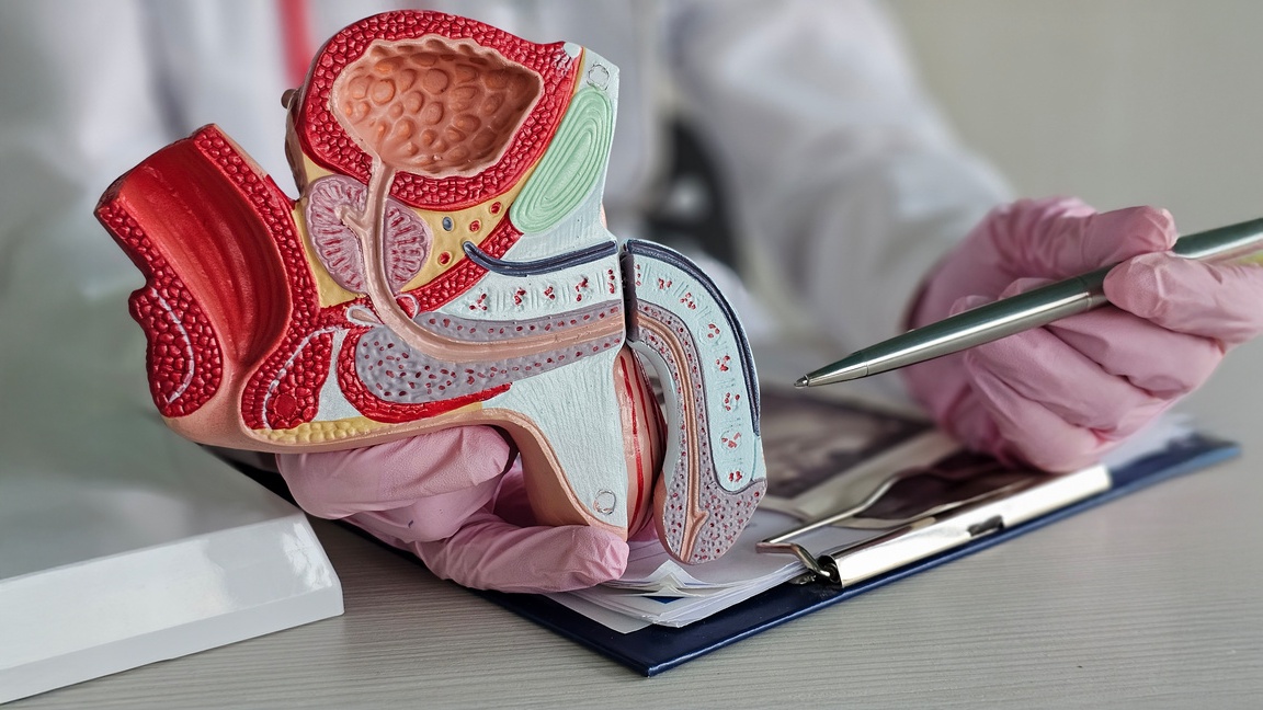 antibioticoterapia em procedimentos urológicos