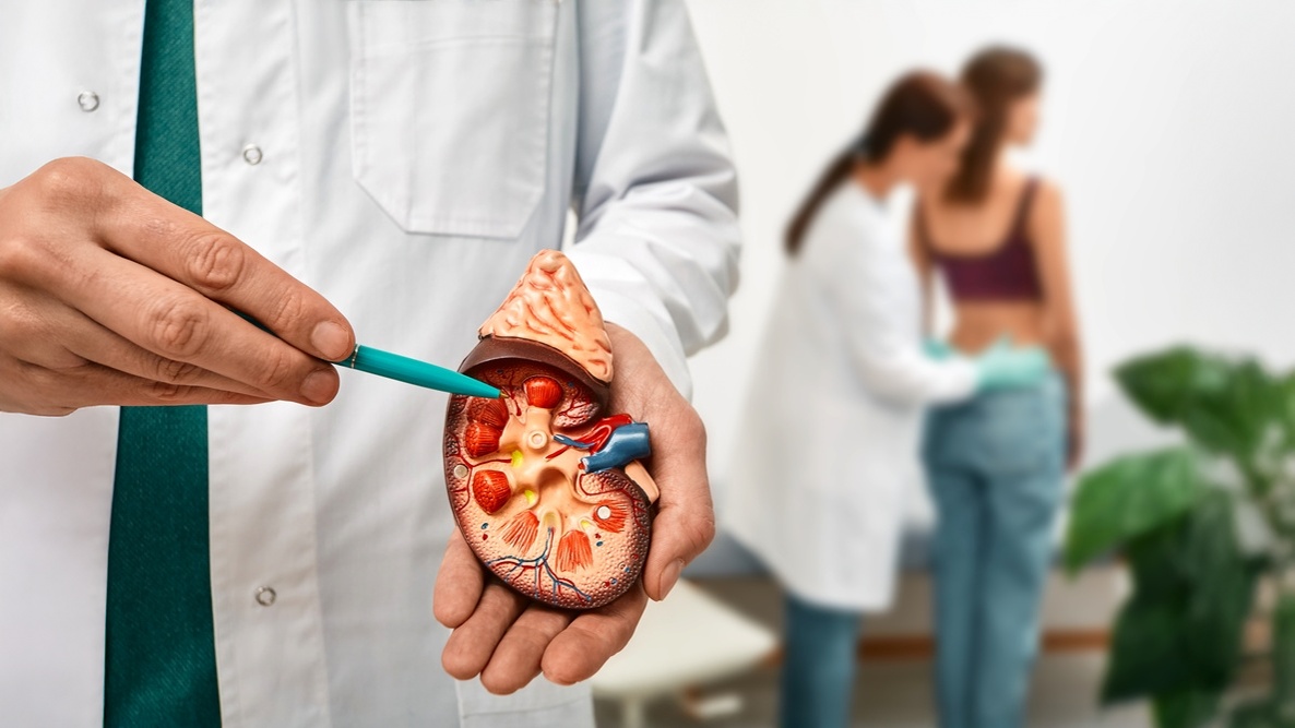 câncer renal diretriz nice 2026