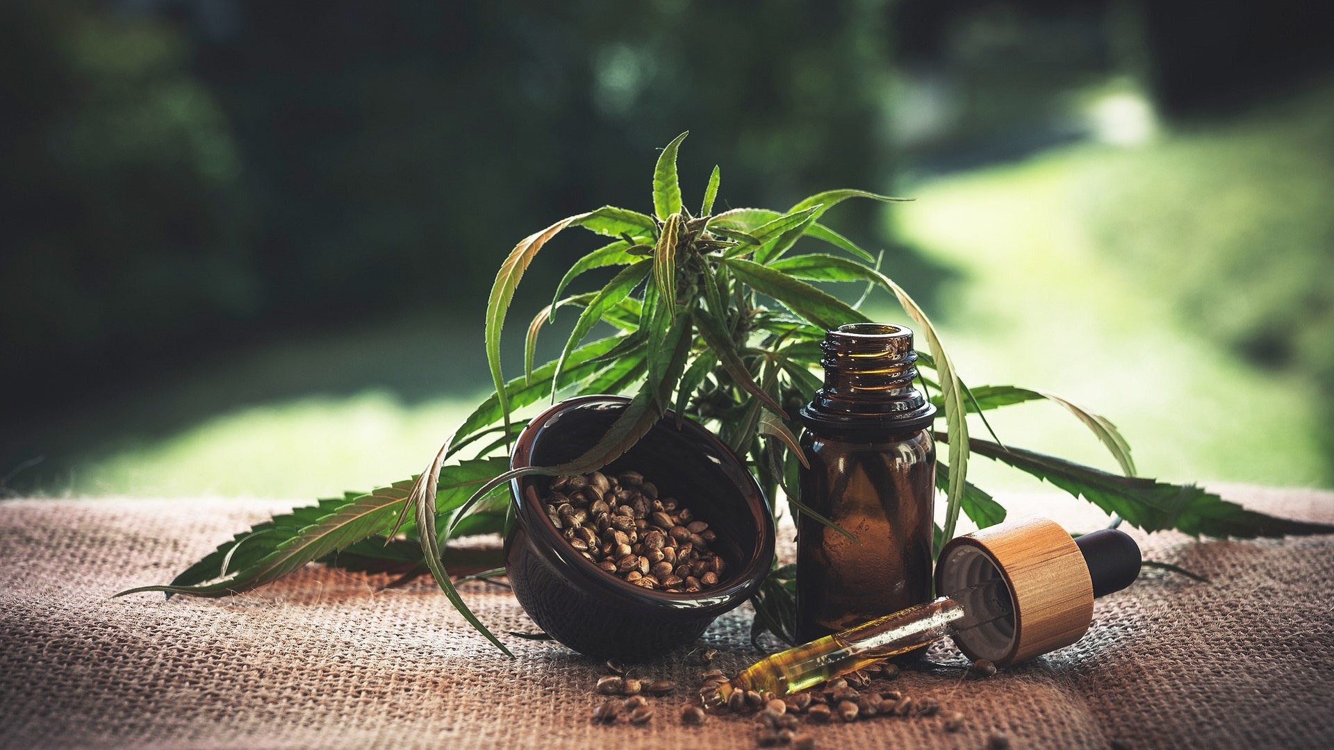 Anvisa proíbe medicamentos derivados de cannabis 