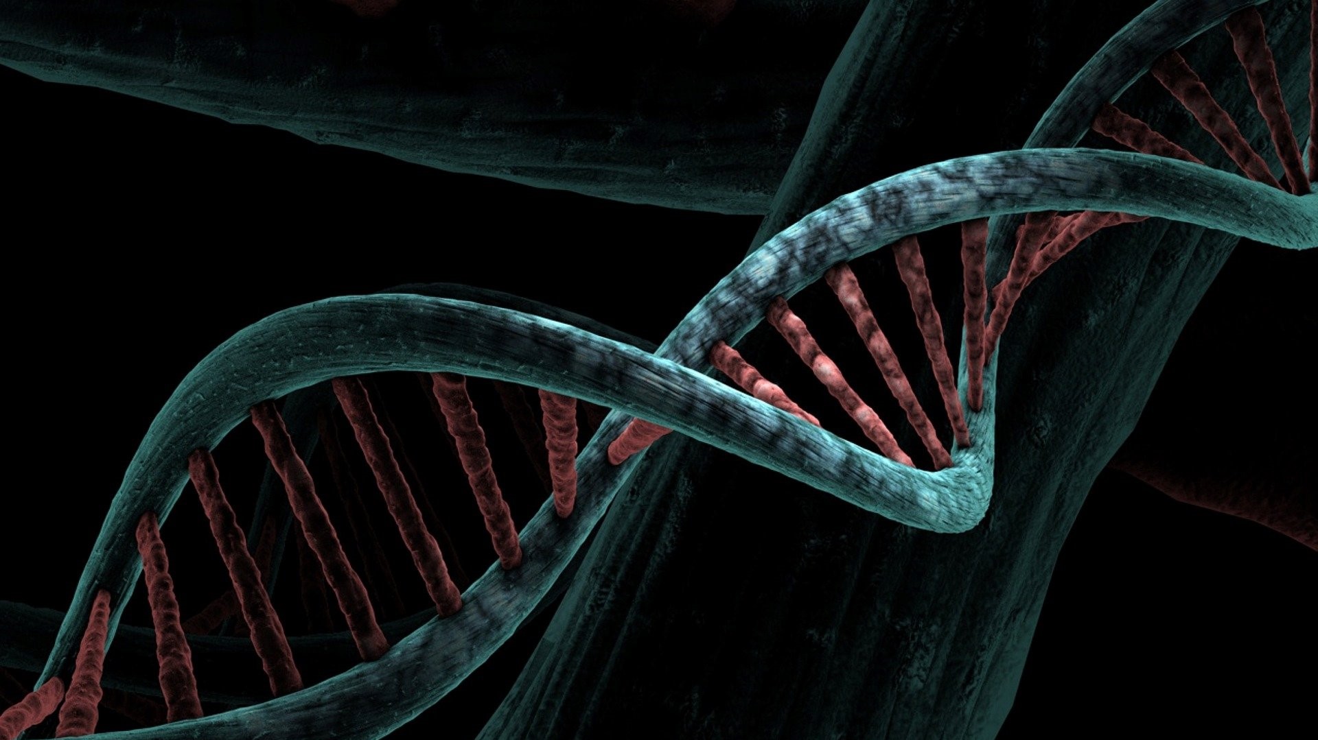 SUS oferecerá teste genético para identificar mutações ligadas ao câncer de mama