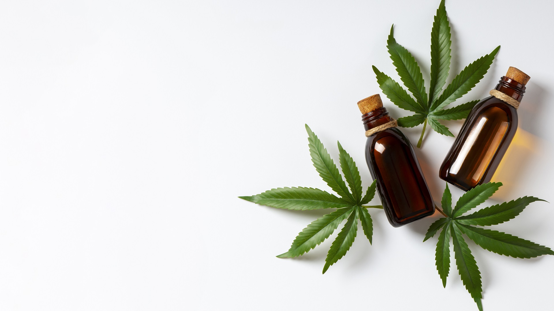 Anvisa atualiza normas sobre cannabis medicinal e reforça regras no Brasil