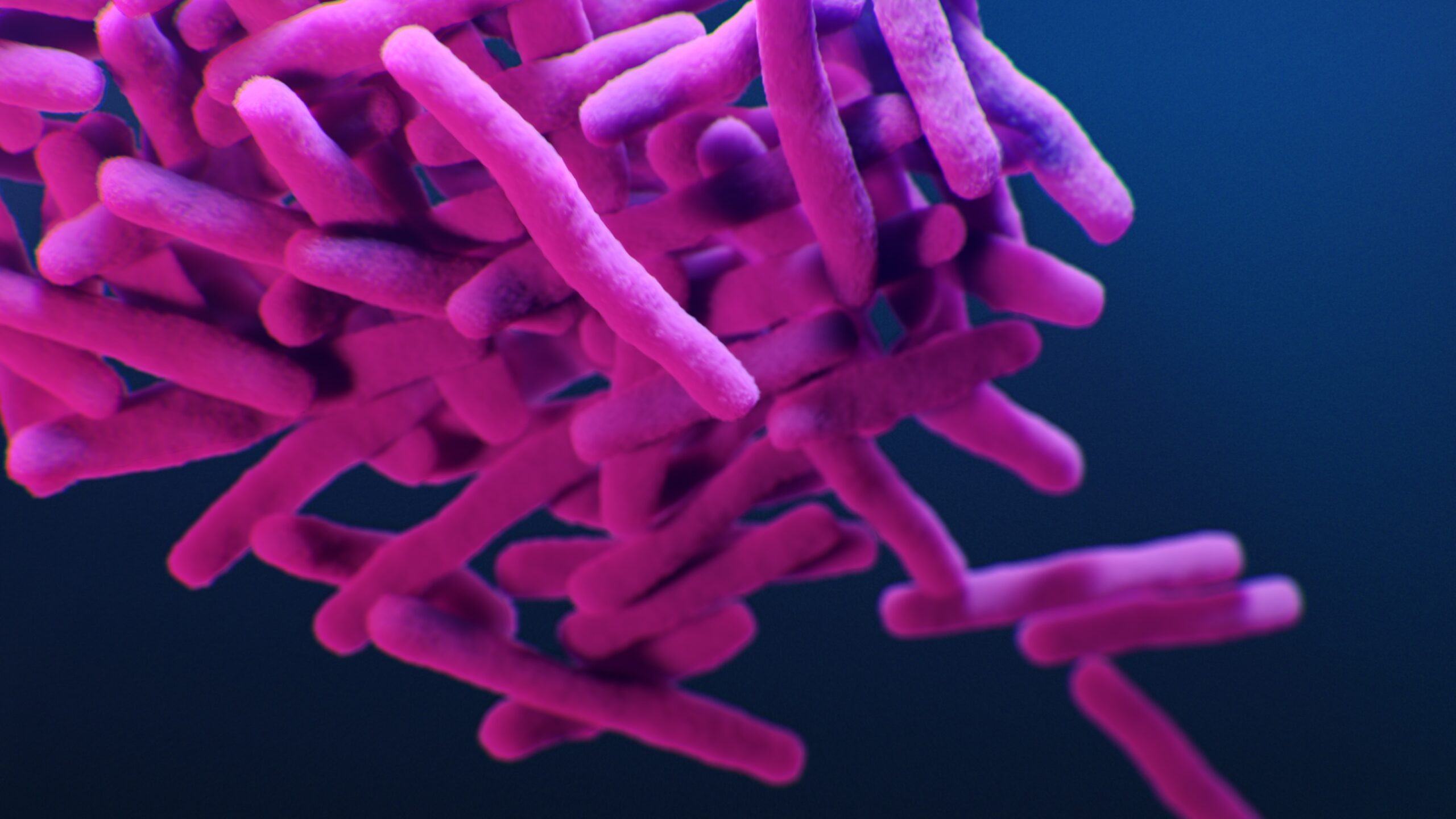 Tuberculose multirresistente: tratamento com BPaL e BPaL-FQ mostra alta eficácia