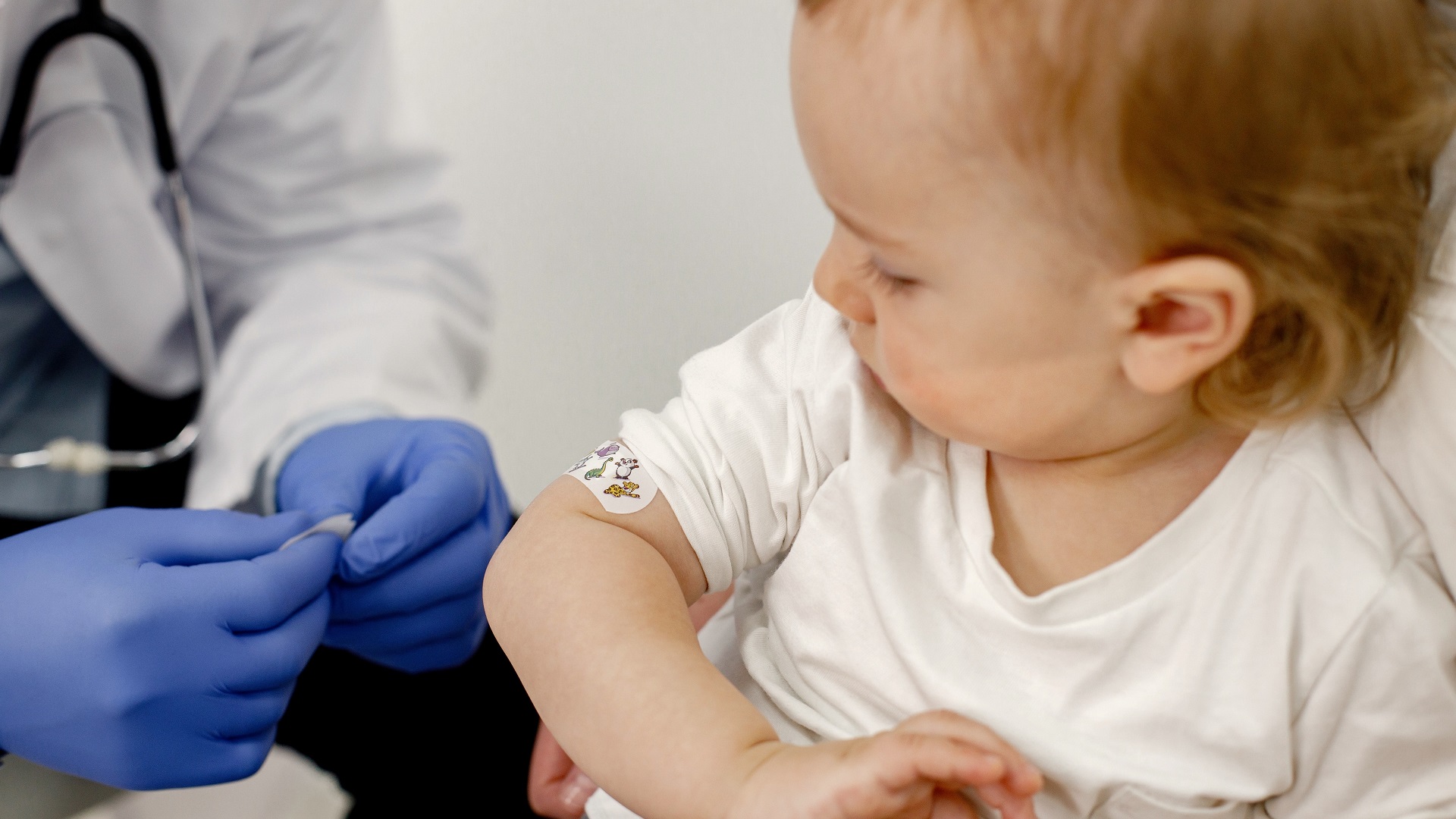 Pneumo 20: uso de nova vacina contra pneumococo no SUS começa em todo o país 