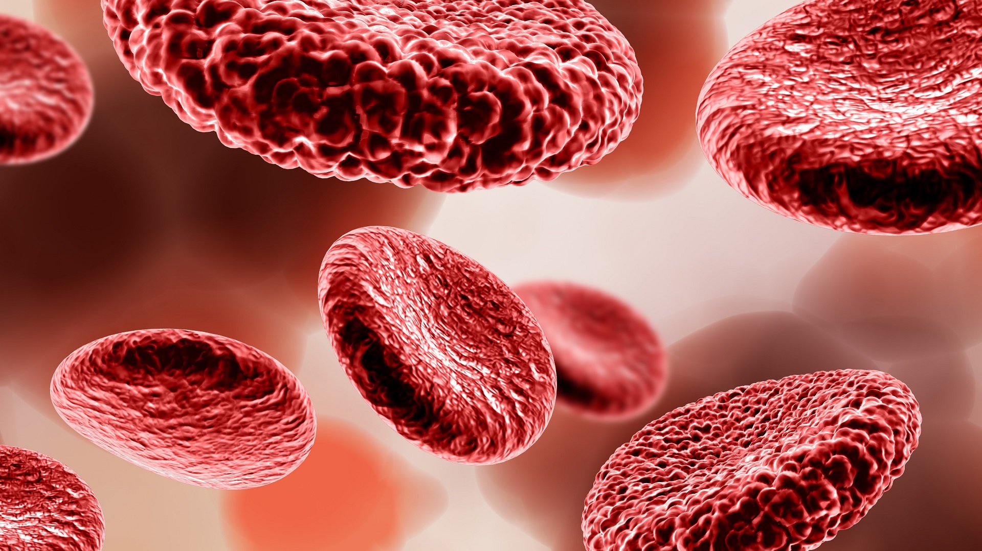 FDA aprova imunoterapia para complicações pós-transplante em câncer hematológico