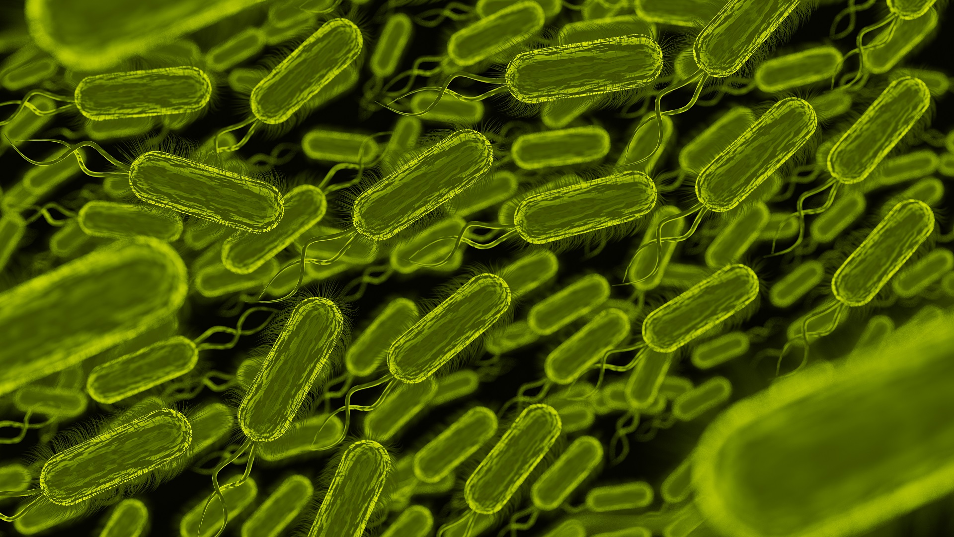 H. pylori: Novidades do 5° Consenso Brasileiro
