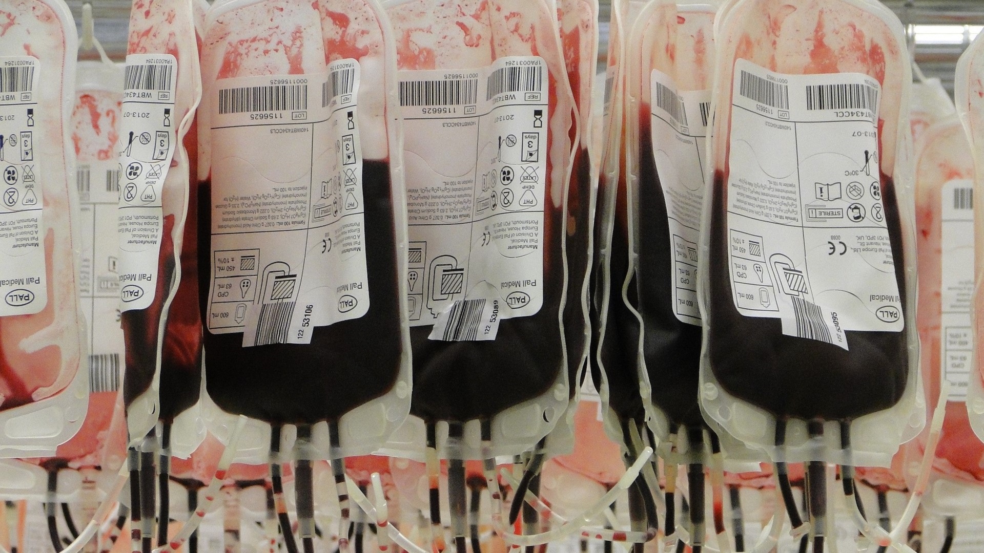 Novo regulamento permite que pessoas com mais de 70 anos continuem doando sangue