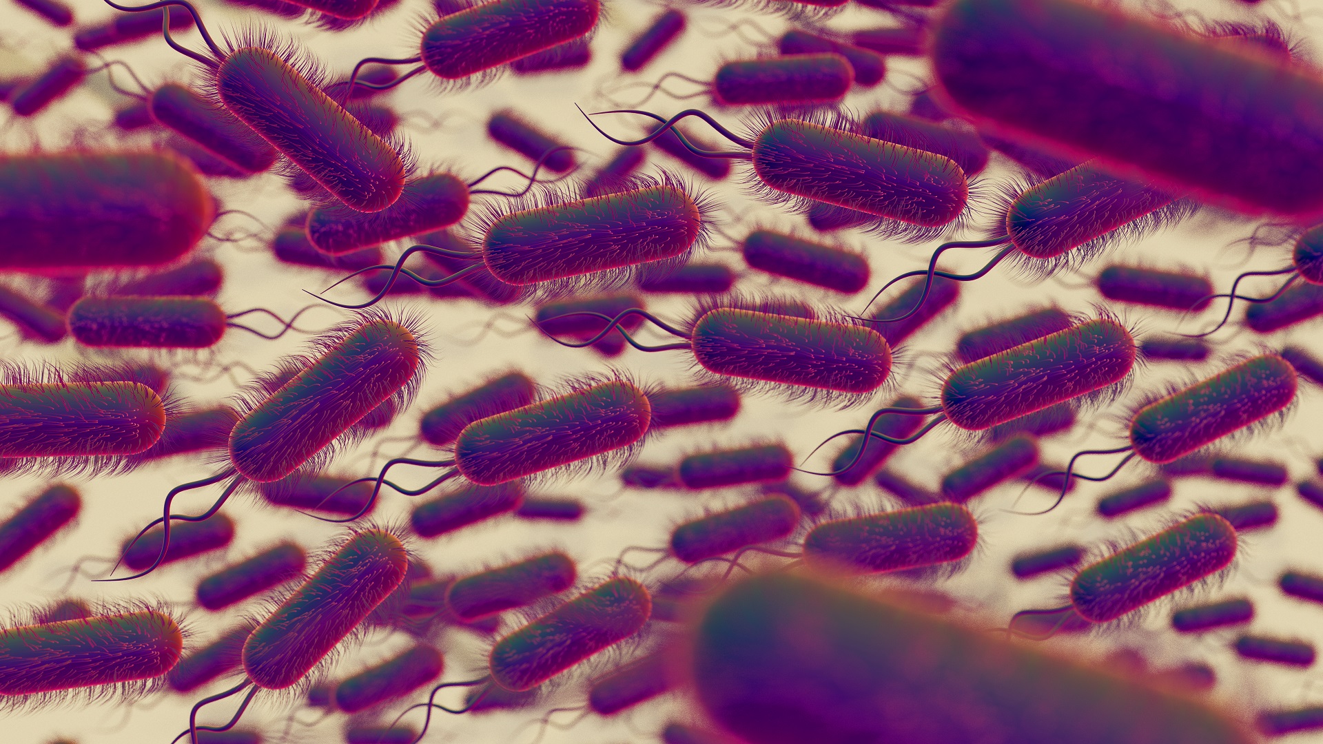 Enterobacterales resistentes a carbapenêmicos na IDSA 2026