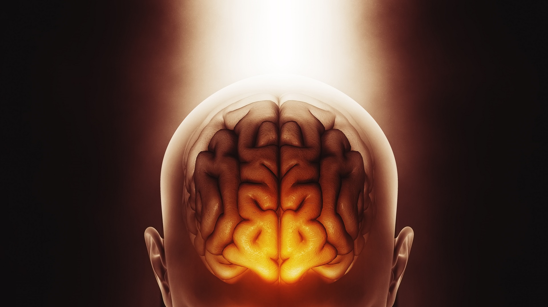 Agonistas de GLP-1 e epilepsia: risco convulsivo ou efeito neuroprotetor?