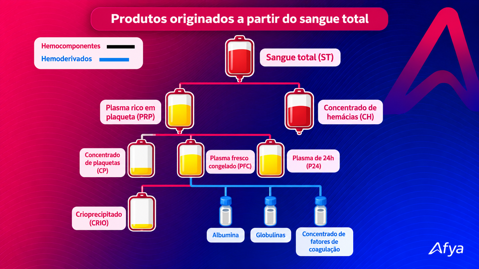 Infográfico Afya de produtos originados do sangue total